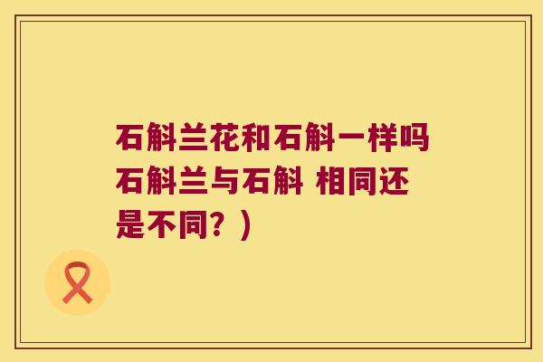 石斛兰花和石斛一样吗石斛兰与石斛 相同还是不同？)