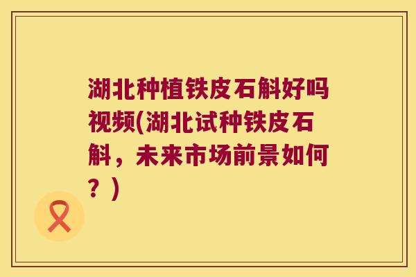 湖北种植铁皮石斛好吗视频(湖北试种铁皮石斛，未来市场前景如何？)