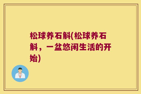 松球养石斛(松球养石斛，一盆悠闲生活的开始)