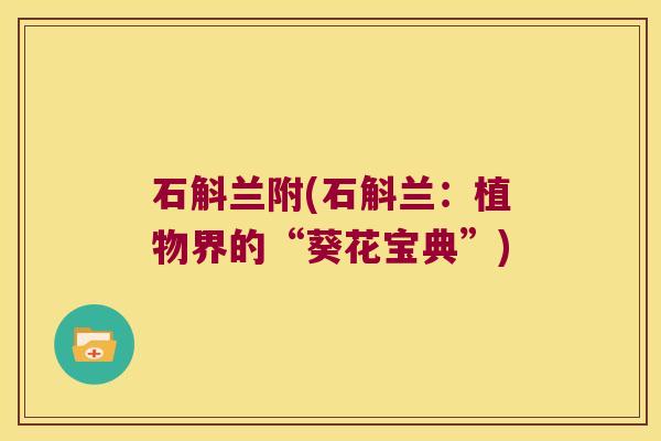 石斛兰附(石斛兰：植物界的“葵花宝典”)