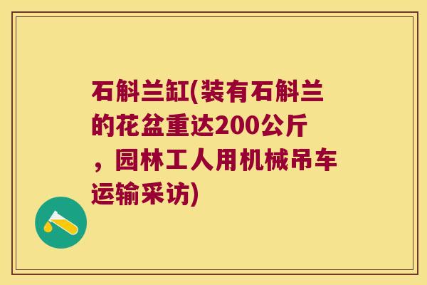 石斛兰缸(装有石斛兰的花盆重达200公斤，园林工人用机械吊车运输采访)