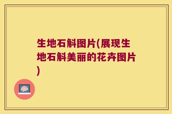 生地石斛图片(展现生地石斛美丽的花卉图片)