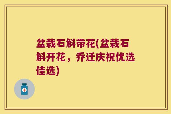 盆栽石斛带花(盆栽石斛开花，乔迁庆祝优选佳选)