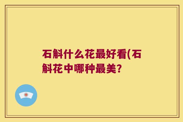 石斛什么花好看(石斛花中哪种美？