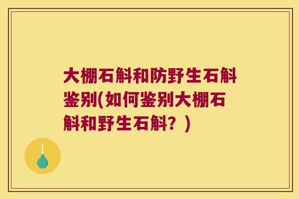 大棚石斛和防野生石斛鉴别(如何鉴别大棚石斛和野生石斛?) 大棚石斛和防野生石斛鉴别(如何鉴别大棚石斛和野生石斛?)