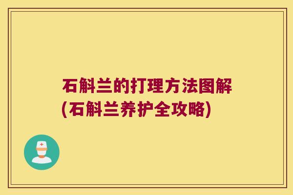 石斛兰的打理方法图解(石斛兰养护全攻略) 石斛兰的打理方法图解(石斛兰养护全攻略)