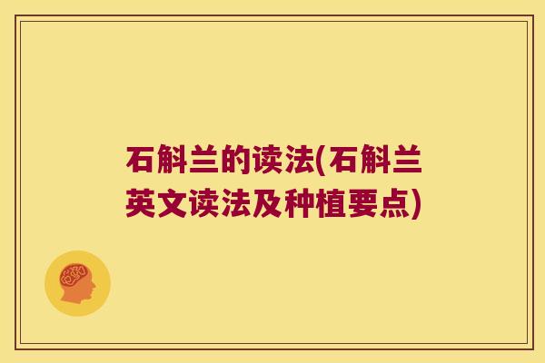 石斛兰的读法(石斛兰英文读法及种植要点)