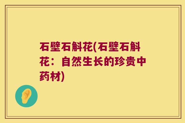 石壁石斛花(石壁石斛花：自然生长的珍贵材)