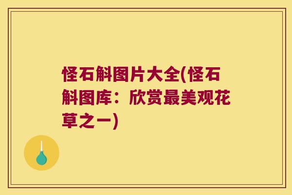 怪石斛图片大全(怪石斛图库：欣赏美观花草之一)