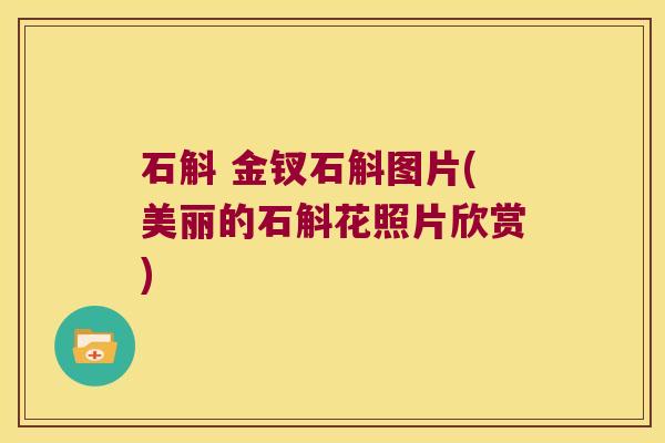 石斛 金钗石斛图片(美丽的石斛花照片欣赏)