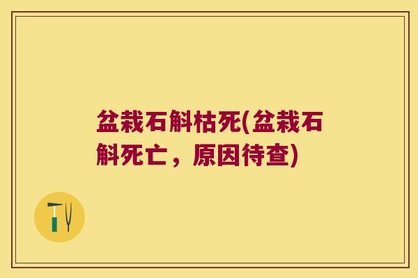 盆栽石斛枯死(盆栽石斛死亡，原因待查)