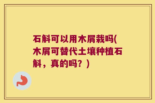 石斛可以用木屑栽吗(木屑可替代土壤种植石斛，真的吗？)