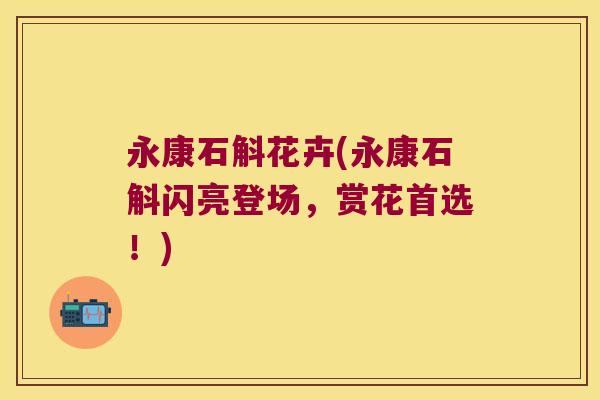 永康石斛花卉(永康石斛闪亮登场，赏花首选！)