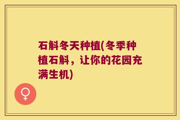 石斛冬天种植(冬季种植石斛，让你的花园充满生机)