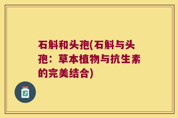 石斛和头孢(石斛与头孢：草本植物与抗生素的完美结合)