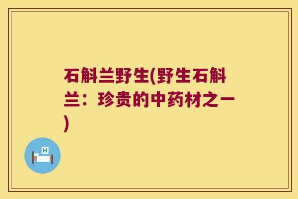 石斛兰野生(野生石斛兰：珍贵的材之一)