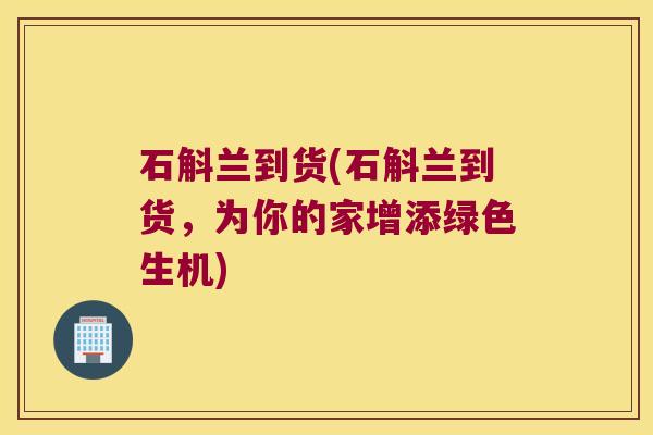 石斛兰到货(石斛兰到货，为你的家增添绿色生机)