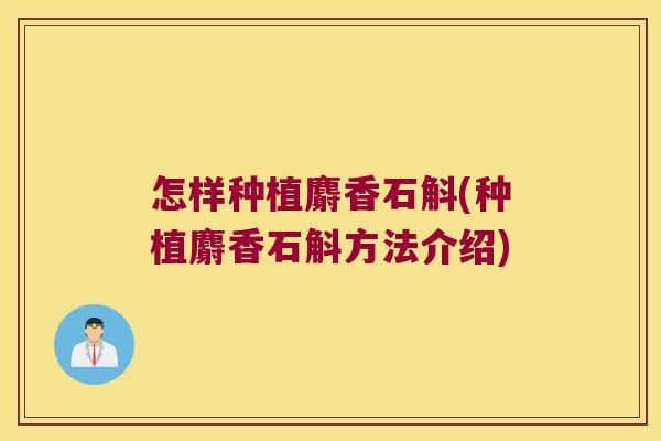 怎样种植麝香石斛(种植麝香石斛方法介绍)
