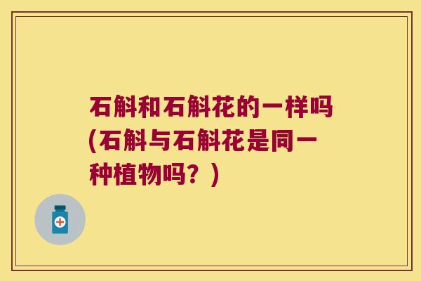 石斛和石斛花的一样吗(石斛与石斛花是同一种植物吗？)