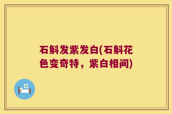 石斛发紫发白(石斛花色变奇特，紫白相间)