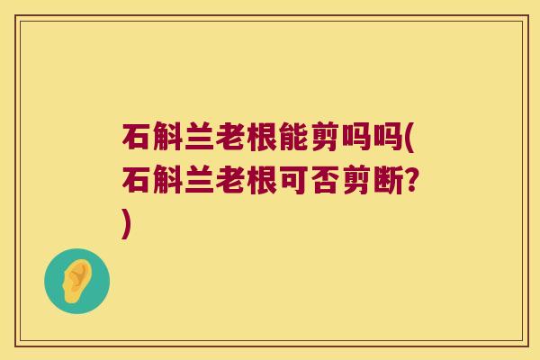 石斛兰老根能剪吗吗(石斛兰老根可否剪断？)