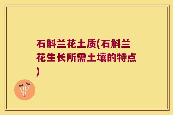 石斛兰花土质(石斛兰花生长所需土壤的特点)