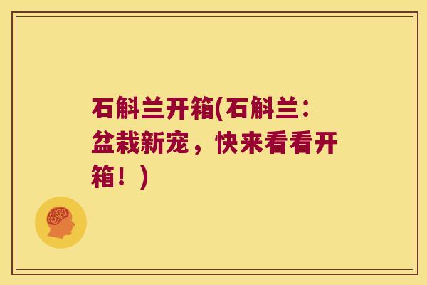 石斛兰开箱(石斛兰：盆栽新宠，快来看看开箱！)