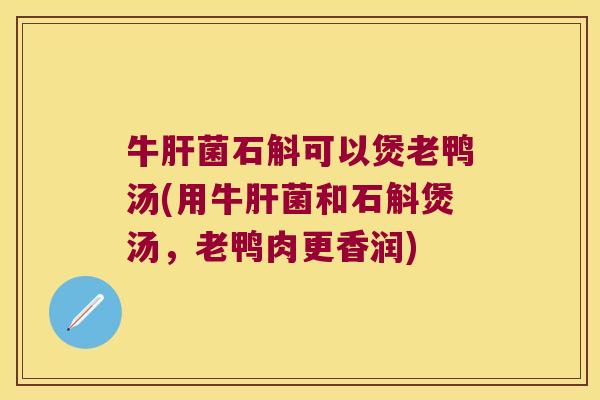 牛菌石斛可以煲老鸭汤(用牛菌和石斛煲汤，老鸭肉更香润)