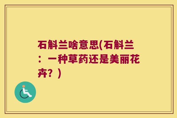 石斛兰啥意思(石斛兰：一种草药还是美丽花卉？)