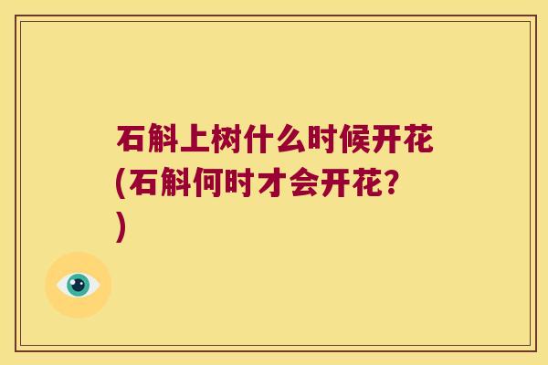 石斛上树什么时候开花(石斛何时才会开花？)