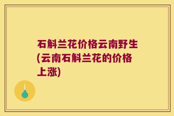 石斛兰花价格云南野生(云南石斛兰花的价格上涨)