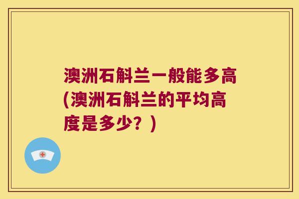 澳洲石斛兰一般能多高(澳洲石斛兰的平均高度是多少？)