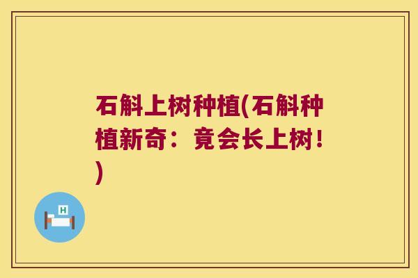 石斛上树种植(石斛种植新奇：竟会长上树！)