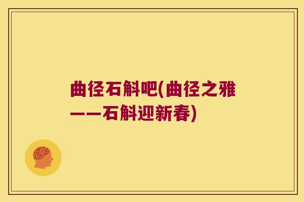 曲径石斛吧(曲径之雅——石斛迎新春)