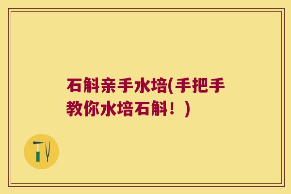 石斛亲手水培(手把手教你水培石斛！)