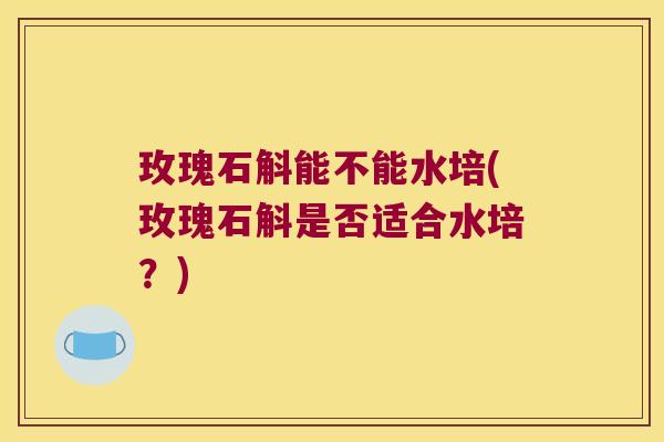 玫瑰石斛能不能水培(玫瑰石斛是否适合水培？)