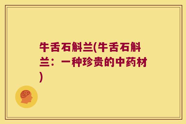 牛舌石斛兰(牛舌石斛兰：一种珍贵的中药材)