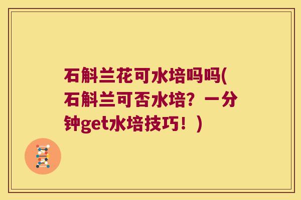 石斛兰花可水培吗吗(石斛兰可否水培？一分钟get水培技巧！)