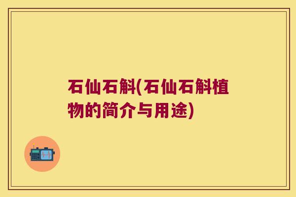 石仙石斛(石仙石斛植物的简介与用途)