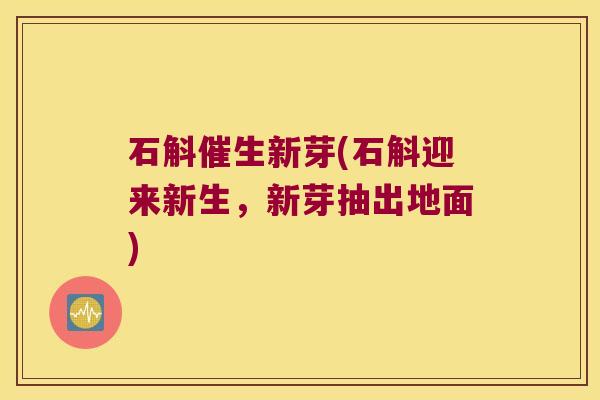 石斛催生新芽(石斛迎来新生，新芽抽出地面)