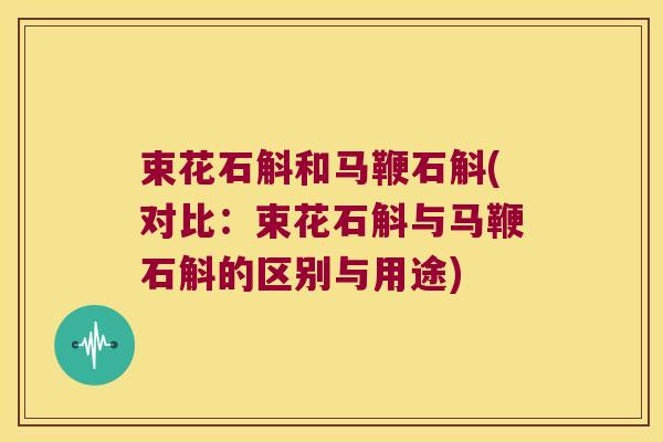 束花石斛和马鞭石斛(对比：束花石斛与马鞭石斛的区别与用途)
