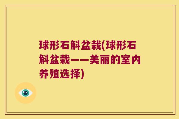 球形石斛盆栽(球形石斛盆栽——美丽的室内养殖选择)