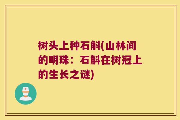 树头上种石斛(山林间的明珠：石斛在树冠上的生长之谜)