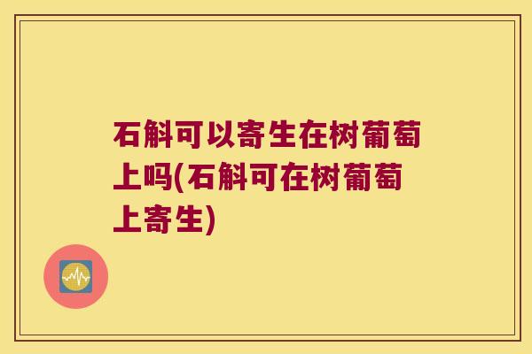 石斛可以寄生在树葡萄上吗(石斛可在树葡萄上寄生)