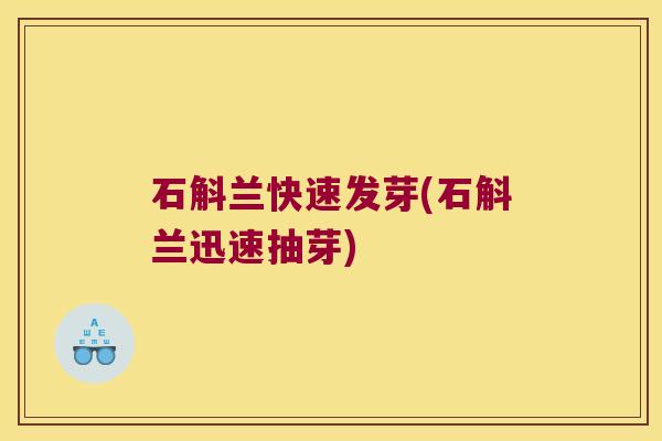 石斛兰快速发芽(石斛兰迅速抽芽)