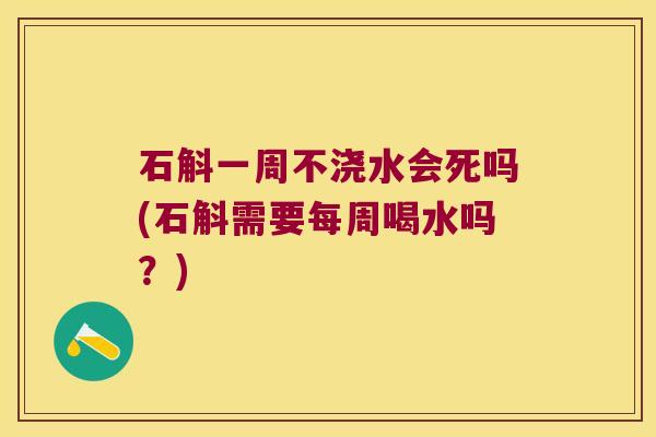 石斛一周不浇水会死吗(石斛需要每周喝水吗？)