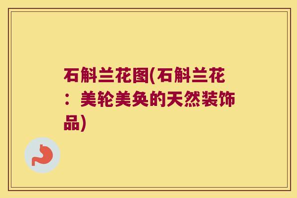 石斛兰花图(石斛兰花：美轮美奂的天然装饰品)