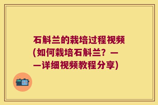 石斛兰的栽培过程视频(如何栽培石斛兰？——详细视频教程分享)
