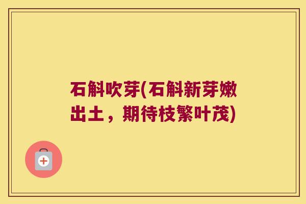 石斛吹芽(石斛新芽嫩出土，期待枝繁叶茂)