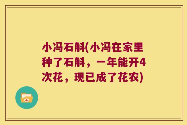 小冯石斛(小冯在家里种了石斛，一年能开4次花，现已成了花农)